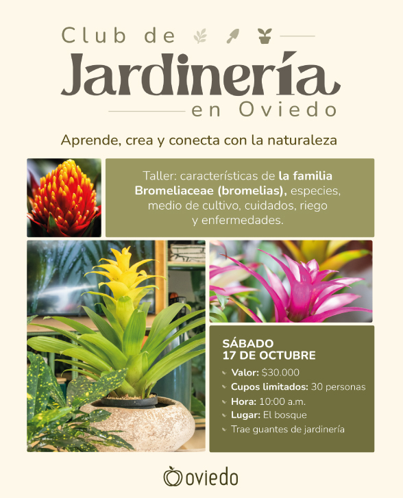 jardineria-17